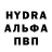 Псилоцибиновые грибы Psilocybe River Seal