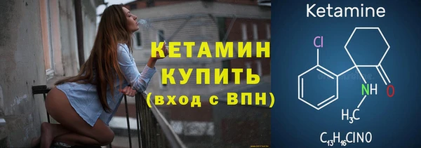 сатива Новокубанск