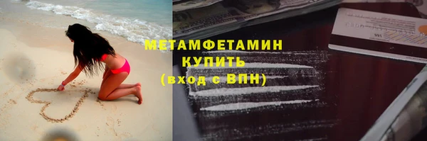 сатива Новокубанск