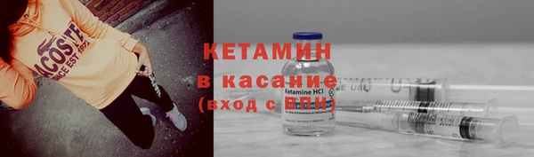 сатива Новокубанск