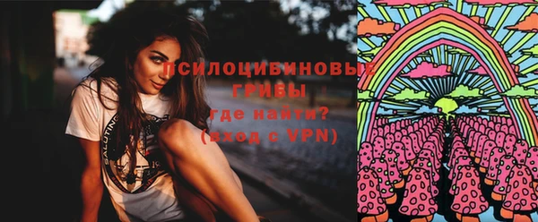 сатива Новокубанск