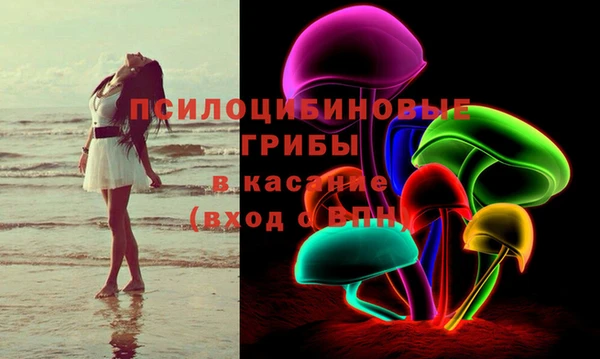 сатива Новокубанск