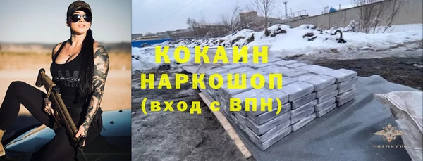 сатива Новокубанск